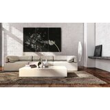  Slika - Dandelions- the transience 90x60 | shoptok.hr