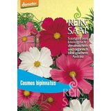 ReinSaat Mešanica za okras Cene