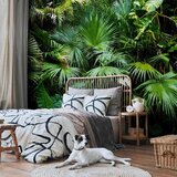 Artgeist Fototapeta Sunny Jungle, 250x175cm | Shoptok.si