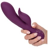 California Exotic Novelties Vibrator Obsession Desire (R14837) | Shoptok.si