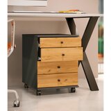 MID.YOU Predalnik Na Kolescih Lona Mini, Antracit, Barva Hrasta | Shoptok.si