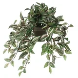 Umetna rastlina Tradescantia (Višina: 45 cm, Plastika)