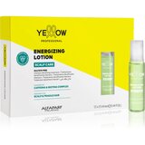 Yellow Professional Scalp Care Energezing Lotion intenzivni tretma za obnovitev gostote las 12x13 ml Cene
