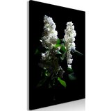  Slika - Lilacs at Night (1 Part) Vertical 80x120 | shoptok.hr