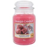 Yankee Candle Roseberry Sorbet dišeča svečka 623 g unisex | Shoptok.si