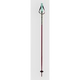 Völkl Phantastick Kids Poles 2025 Ski Poles berry | Shoptok.si