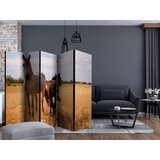 Paravan u 5 dijelova - Horse and foal II [Room Dividers] 225x172 | shoptok.hr