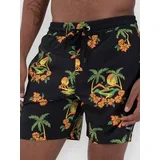 Cannonball Volley 17" Boardshorts black 6