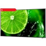 Sharp nec multisync E558 139cm (55") 4K ips 16/7 lcd informacijski monitor Cene