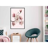  Poster - Blooming Magnolias I 30x45 | shoptok.hr