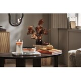 WoodWick Trilogy Hearth Spice dišeča sveča z lesenim stenjem 610 g | Shoptok.si