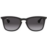 Ray-ban Unisex sunčane naočale Ray Ban RB 4221 SN S Black (crne) | shoptok.hr