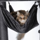 Trixie Grebalica za mačke XXL Amadeus | ePonuda.com