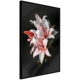  Poster - Pale Pink Lilies 20x30 Cijene