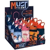 Must: aluminijska boca s izljevkom, 500 ml, u više varijanti