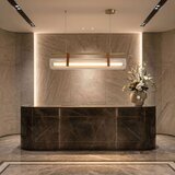 Toolight Luster LED APP1796-CP Brush Gold | shoptok.hr
