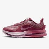 Nike W pegasus premium Cene