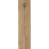 RAGNO pločica woodlike gold Cene