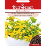 Dürr Samen Šentjanževka Cene