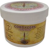 Zdravlje Cordyceps sinensis gljiva EP, 100cps Cene