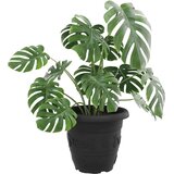  Okrogli cvetlični lonec 6 pcs Črna Ø 39 x 32 cm Plastika, (5000207356) | Shoptok.si