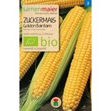 Samen Maier BIO sladka koruza "Golden Bantam" Cene