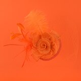 Art of Polo Woman's Fascinator cz22175 | shoptok.hr