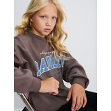 Sinsay Gornji dio trenirke s printom | shoptok.hr