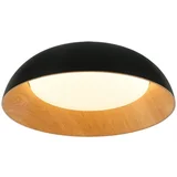 LED plafonska lampa FK2005-66C BK