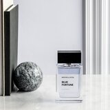 NOVELLISTA Blue Fortune parfumska voda za moške 75 ml | Shoptok.si
