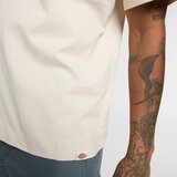 Dickies Companion Script majica | Eponuda.com
