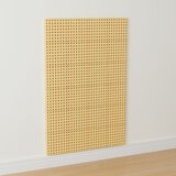  Masterkidz zidni panel za znanstvenu ploču kreativni nosač 120x80 cm bez ploče za pričvršćivanje | shoptok.hr