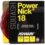 Ashaway PowerNick 18 Zyex Red 1.15mm Squash Strings | shoptok.hr