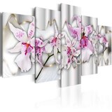  Slika - Academy of Charm 100x50 Cijene