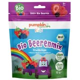 Pumpkin Organics Bio sadni čips - jagodičevje Cene