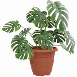  Okrugla saksija za cveće 24 pcs Crvena cigla Ø 22 x 18 cm | shoptok.hr