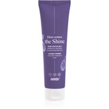 Anwen Here Comes The Shine Shining Primer For High Porosity Hair podlaga za lase 100 ml | Shoptok.si