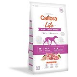 CALIBRA Dog Life hrana za pse - Adult Large breed Jagnjetina 2.5kg | Eponuda.com