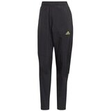 Adidas Spodnji deli trenirke Ultra Pant M Črna Cene