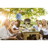 Napoleon Žar plinski prenosni s stojalom PRO285X Cene