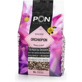 PON Orchid- 6 l Cene