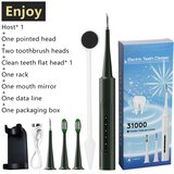 INF Set električne zobne ščetke z nosilcem za na steno Green, (22104801) | Shoptok.si