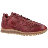 Cetti C848 INV26 Bordo | shoptok.hr