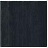  Granitogresne ploščice Berlin Black (59,7 x 59,7 cm, Črna, Mat) | Shoptok.si