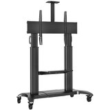  Mobilno TV stojalo CF-100 | Shoptok.si