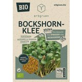  Grško seno BIO - mikrozelenje/semena kalčkov - 40 g | Shoptok.si