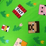 Jerry Fabrics Zelena/modra enojna bombažna otroška posteljnina 140x200 cm Minecraft "Outdoor Mobs" – | Shoptok.si