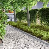  Ograda oko Travnjaka Srebrno 450 x 0,05 x 10 cm Cinkani čelik | shoptok.hr