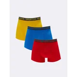 LC Waikiki Boxer Shorts - Multicolor