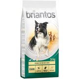 briantos Senior perad i riža - 2 x 14 kg | shoptok.hr